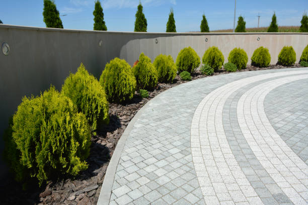Best Commercial Driveway Pavers  in Palos Park, IL